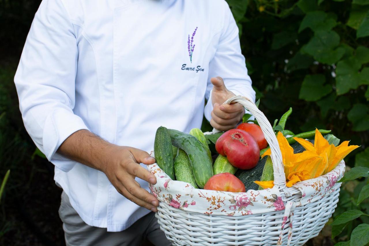 Ağva Casa Lavanda Boutique Hotel מראה חיצוני תמונה